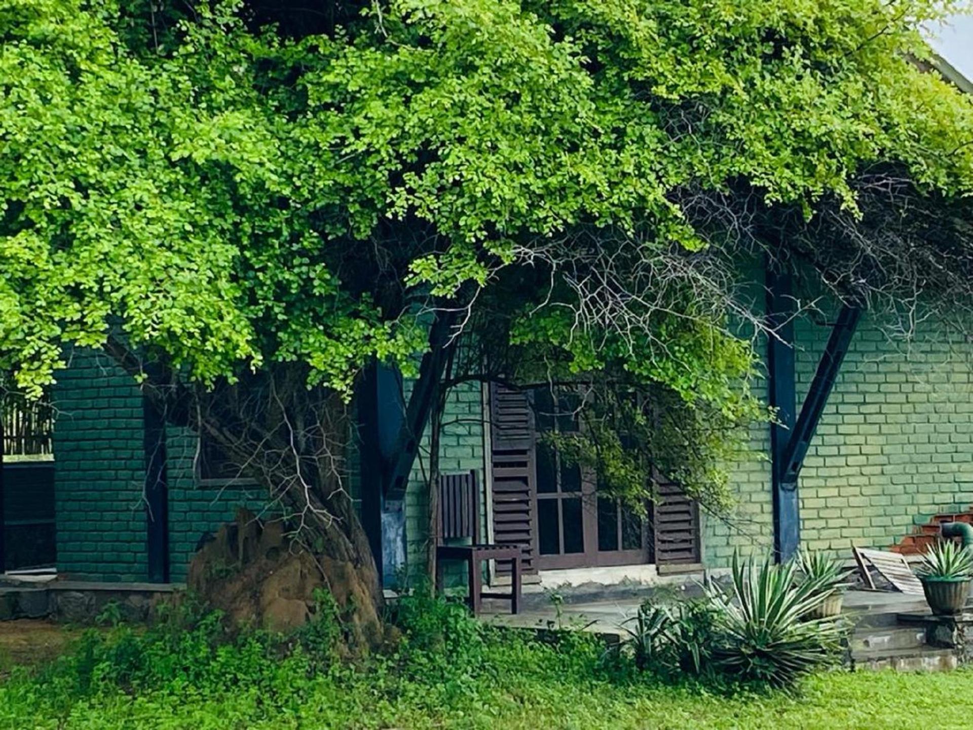 Yala Ying Yang Hostel & Camping 외부 사진