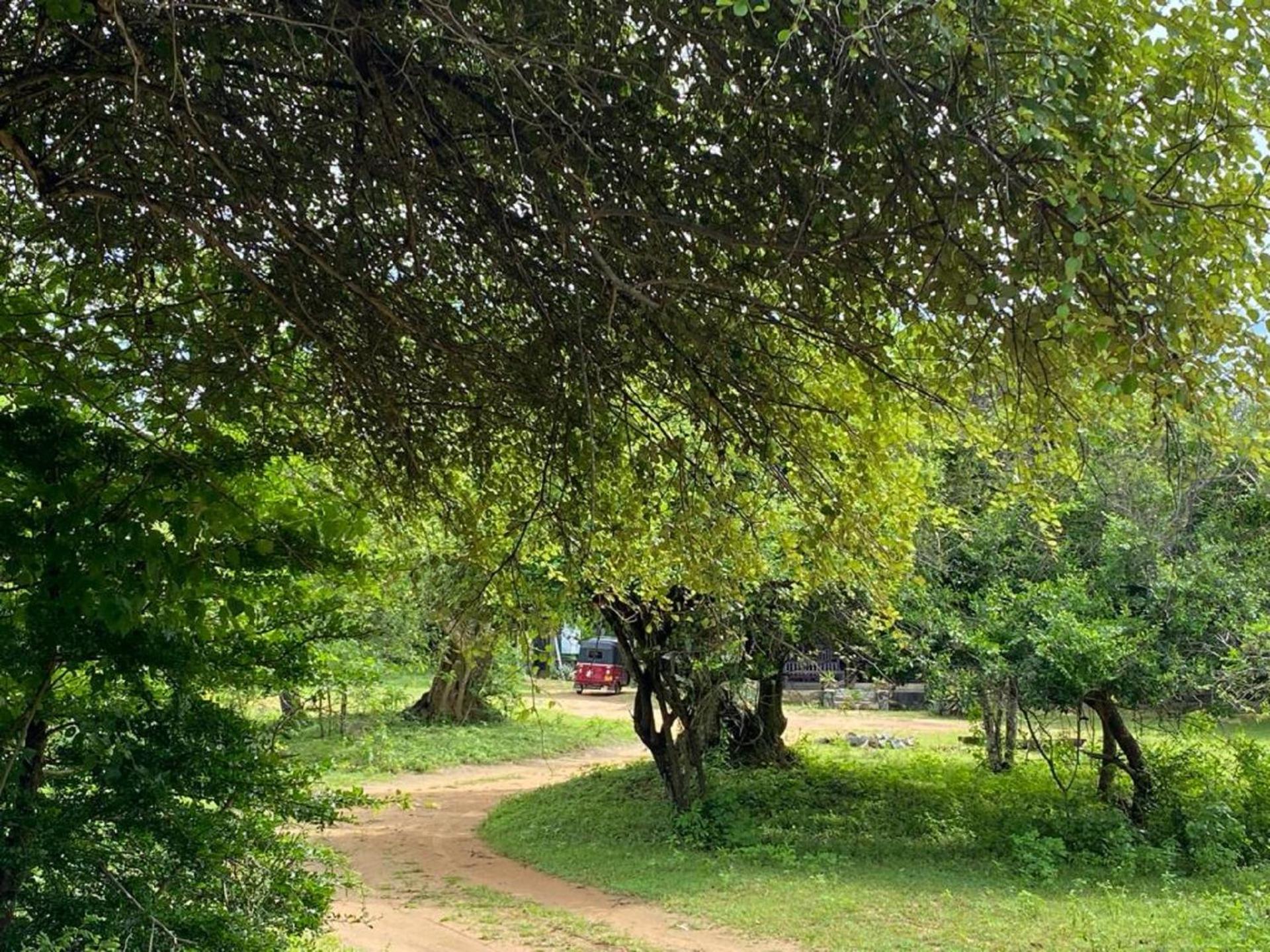 Yala Ying Yang Hostel & Camping 외부 사진