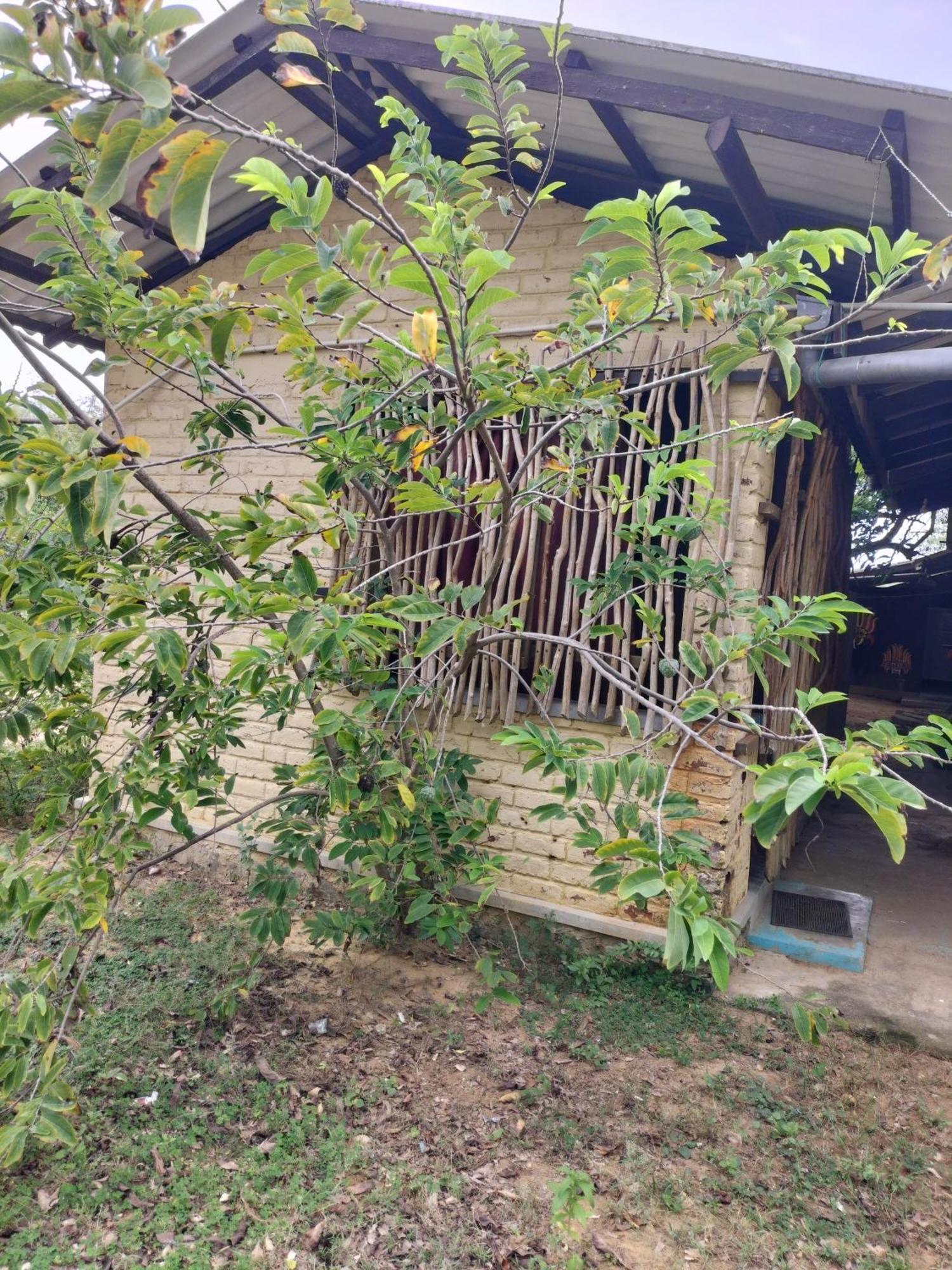 Yala Ying Yang Hostel & Camping 외부 사진